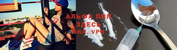 ПСИЛОЦИБИНОВЫЕ ГРИБЫ Кукмор