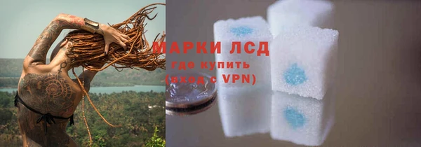 ПСИЛОЦИБИНОВЫЕ ГРИБЫ Кукмор