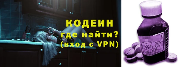 гашик Краснослободск
