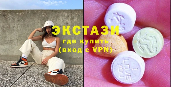 гашик Краснослободск