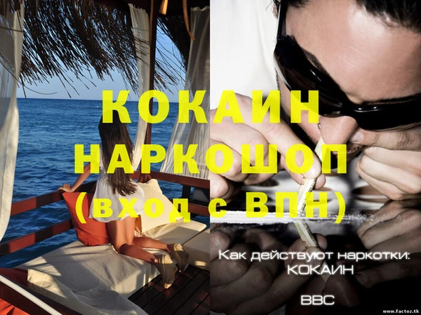 ПСИЛОЦИБИНОВЫЕ ГРИБЫ Кукмор