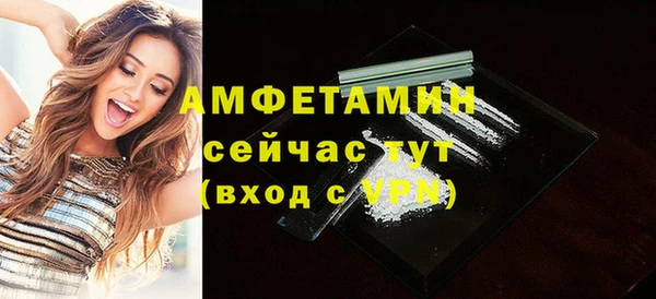 гашик Краснослободск