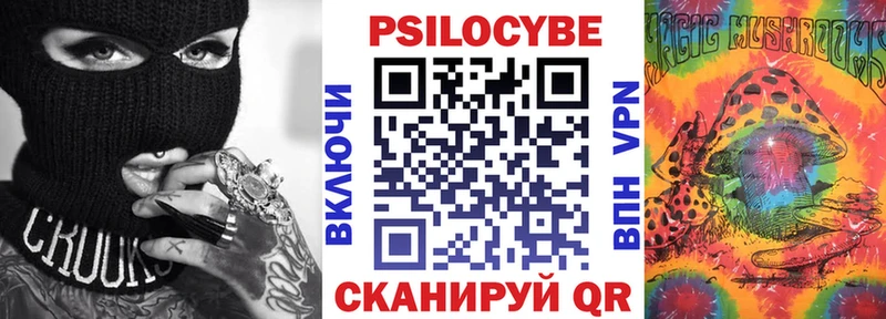 Галлюциногенные грибы GOLDEN TEACHER  Купить где  Болотное 
